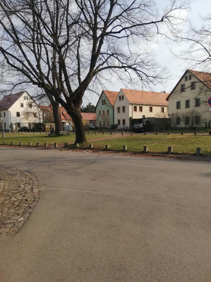 Ferienhaus -Am Alten Dorfplatz- Дрезден Экстерьер фото